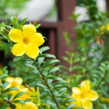 Weekender Bungalow شاطئ لاماي المظهر الخارجي الصورة
