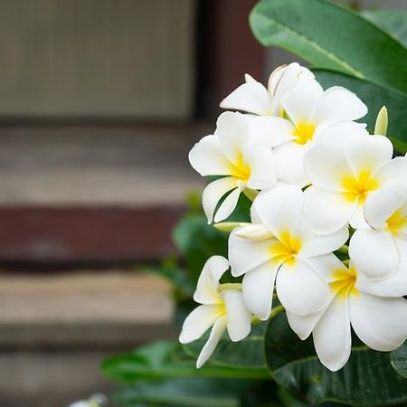 Weekender Bungalow شاطئ لاماي المظهر الخارجي الصورة
